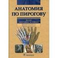 russische bücher: Шилкин Валентин Викторович - Анатомия по Пирогову. Атлас анатомии человека. В 3 томах. Том 1. Верхняя конечность. Нижняя конечность (+ CD-ROM)