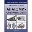 russische bücher: Амзельгрубер Вернер - Анатомия собаки и кошки