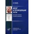 russische bücher: Крылова Н.В. - Мозг и проводящие пути. Анатомия человека в схемах и рисунках. Учебное пособие. Гриф УМО по медицинскому образованию