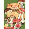 russische bücher: Юдин А. В. - Грибы. Съедобные и ядовитые. Иллюстрированный определитель