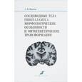 russische bücher: Павлов Артем Владимирович - Сосцевидные тела гипоталамуса. Морфологические особенности и онтогенетические трансформации