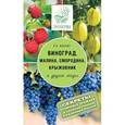 russische bücher: Жвакин В.В. - Виноград, малина, смородина, крыжовниик и другие ягоды