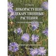 russische bücher: Ефремов А. - Дикорастущие лекарственные растения средней полосы России. Карманный справочник