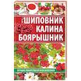 russische bücher:  - Шиповник, калина, боярышник. Лучшие лекарства от всех болезней