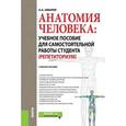 russische bücher: Швырев Александр Андреевич - Анатомия человека. Учебное пособие для самостоятельной работы студента (Репетиториум)