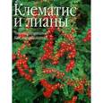 russische bücher: Фелтуэлл Джон - Клематис и лианы