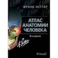 russische bücher: Неттер Ф. - Атлас анатомии человека