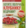 russische bücher: Чернышова Т. - Хотите получить клубнику ведрами?