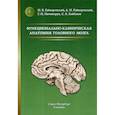russische bücher: Гайворонский Алексей Иванович, Гайворонский Иван Васильевич, Ничипорук Геннадий Иванович - Функционально-клиническая анатомия головного мозга
