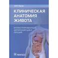 russische bücher: Каган И.И. - Клиническая анатомия живота. Иллюстрированный авторский цикл лекций