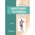 russische bücher: Никитюк Д.Б., Сапин М.Р., Николенко В.Н. - Анатомия человека. Учебник. В 2 томах. Т. 2