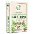 russische bücher: Сафонов Н.Н. - Лекарственные растения от А до Я. 50 карточек