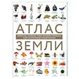 russische bücher: Регина Михайлова - Атлас Земли. Животные, растения, грибы, бактерии, минералы и другие сокровища нашей планеты