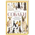 russische bücher: Андрей Шкляев - Собаки. Подарочная иллюстрированная энциклопедия (новое оформление)