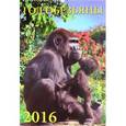 :  - Календарь настенный на 2016 год "Год обезьяны" (12617)