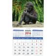 :  - Календарь на магните 2016. Год обезьяны. Детеныш гориллы (20632)