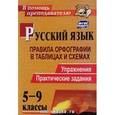 russische bücher: Кадашникова Наталья Юрьевна - Русский язык 5-9класс