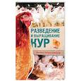 russische bücher: Зинченко Л. Н. - Разведение и выращивание кур обычных пород и бройлеров