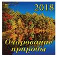 russische bücher:  - 30811 2018 Календарь Очарование природы