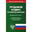 russische bücher:  - Трудовой кодекс РФ на 20.11.17