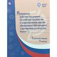 russische bücher:  - Примерные рабочие программы обучающихся с умственной отсталостью. Вариант 1. 1 дополнител., 1 классы