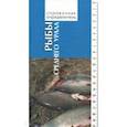 russische bücher: Богданов Владимир Дмитриевич - Рыбы Среднего Урала. Справочник-определитель