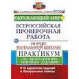 russische bücher: Волкова Елена Васильевна, Цитович Галина Ивановна, Данилова Анна Владимировна - ВПР за курс начальной школы. Окружающий мир. Практикум по выполнению типовых задач. ФГОС