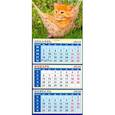 :  - Календарь 2020 "Котенок в гамаке" (34023)