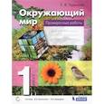 russische bücher: Чудинова Елена Васильевна - Окружающий мир. 1 класс. Проверочные работы. ФГОС