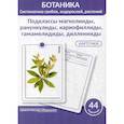 russische bücher: Анцышкина А.М., Луферов А.Н., Простодушева Т.В. - Ботаника. Систематика грибов, водорослей, растений. Подклассы магнолииды, ранункулиды, кариофиллиды, гамамелидиды, дилленииды