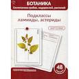 russische bücher: Анцышкина А.М., Луферов А.Н., Простодушева Т.В. - Ботаника. Систематика грибов, водорослей, растений. Подклассы ламииды, астериды