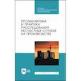 russische bücher: Пачурин Герман Васильевич - Профилактика и практика расследования несчастных случаев на производстве. Учебное пособие