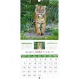 :  - Календарь на 2022 год "Год тигра. Забавные тигрята" (30208)