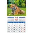 :  - Календарь 2022. "Год тигра. Сила и благородство" (20227)