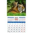 :  - Календарь 2022 "Год тигра.Тигрица с тигренком" (20232)