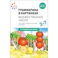 russische bücher:  - Наглядно-дидактическое пособие. Грамматика в картинках. Множественное число. 3-7 лет. ФГОС