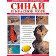 russische bücher: Маджи Джованна - Синай и Красное море. Шарм-Эль-Шейх. Монастырь святой Екатерины. Оазис Фейран