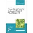 russische bücher: Максименко Анатолий Петрович - Плантационное выращивание лозовых ив. Учебное пособие для СПО