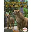 russische bücher: Мирошниченко Светлана Анатольевна - Иллюстрированный атлас живой природы