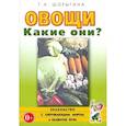 russische bücher: Шорыгина Т.А. - Овощи. Какие они? Книга для воспитателей, гувернеров и родителей