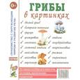 russische bücher:  - Грибы в картинках. Наглядное пособие для воспитателей, логопедов, педагогов, родителей