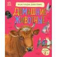 russische bücher: Каспарова Юлия Вадимовна - Домашние животные