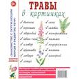 russische bücher: Кулакова Н. - Травы в картинках