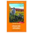 russische bücher: Бианки В. - Оранжевое Горлышко