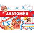 russische bücher:  - Анатомия. 3D-энциклопедия-панорамка
