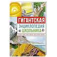 russische bücher:  - Гигантская энциклопедия школьника