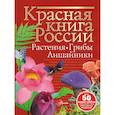 russische bücher: Пескова И.М. - Красная книга России. Растения Грибы Лишайники