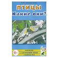 russische bücher: Шорыгина Татьяна Андреевна - Птицы. Какие они?