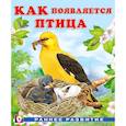 russische bücher: Гурина И.В. - Как появляется птица