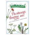 russische bücher: Куплан Ф.,Куплан Р. - Растения вокруг нас